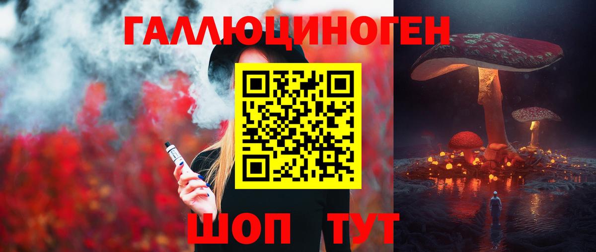 Галлюциногенные грибы Psilocybine cubensis  Псилоцибиновые грибы прущие грибы  Азнакаево  Вход с VPN 