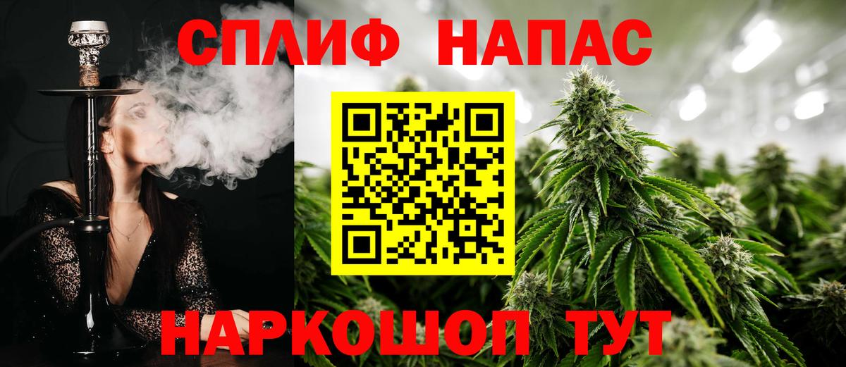 Бошки Шишки конопля Азнакаево